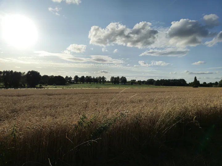 Bellegem, West-Vlaanderen (België)